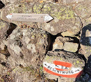 Wanderung via Alpina Bozen-Jenesien-Meran 2000