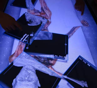 Moderne Präsentation der Forschungsergebnisse