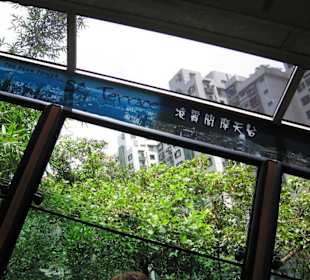 Fast im rechten Winkel nach oben