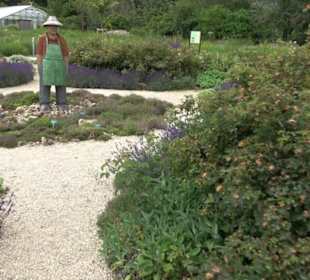 ALB-GOLD Naturgarten