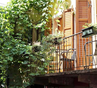 Rundgang durch die Altstadt von Malcesine