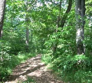 Premiumwanderweg "hochgelegen"