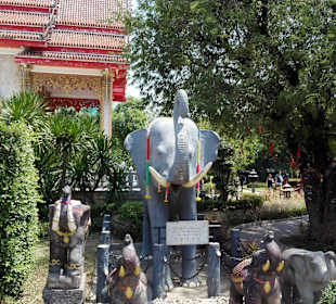 Ausflug Phuket Explorer