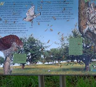 Naturerlebnisweg des NABU-Metzingen