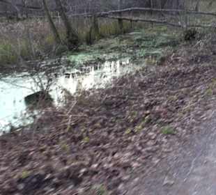 Schönbuch Schaichtal