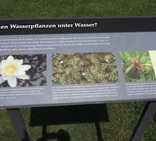 Botanischer Garten der Universität Zürich