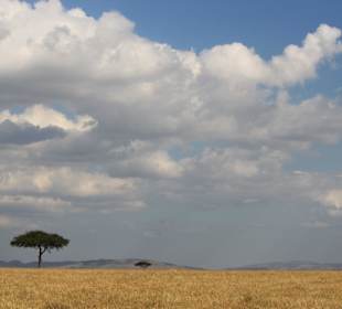 Masai Mara