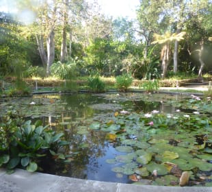 Botanischer Garten Puerto de la Cruz