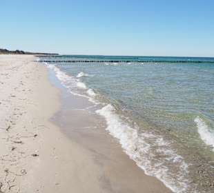 Strand Zingst