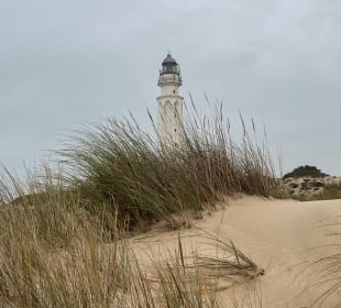Cabo de Trafalgar