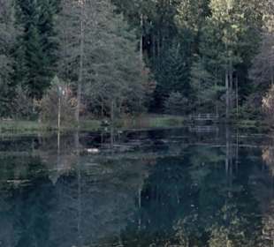 Kinzigsee