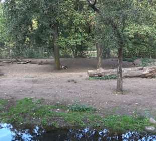 Zoologischer Garten