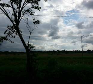 Landschaft