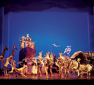 Musical König der Löwen - Showbild - ewiger Kreis