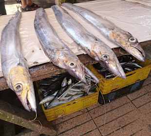 Auf dem Fischmarkt in der Altstadt.