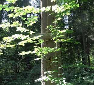 Premiumspazierweg Früchtetrauf-Leisawegle