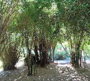 Rundgang durch den Botanischen Garten der Domaine