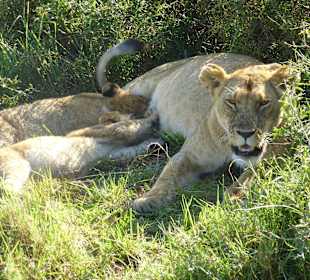 Jetzt laßt die Kinder in Ruhe trinken