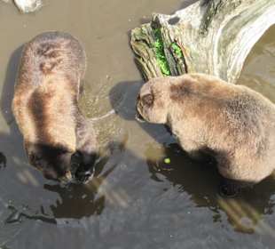 Die zwei sind keine Freunde