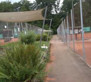 Tennisplätze Altdorf
