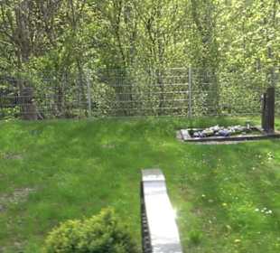 Wallfahrtskirche Mariazell Boll