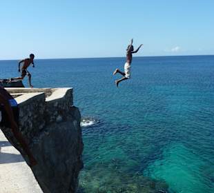 Klippenspringer in Negril