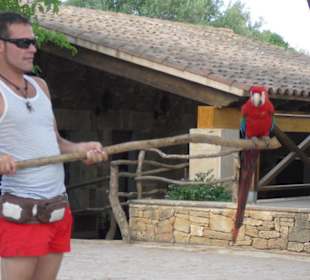 Manu mit Emma - Mini Mallorca - Die Kindertour 