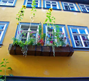 Stadt Erfurt im Bild Sept.2010