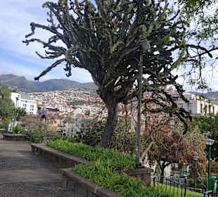 Altstadt Funchal