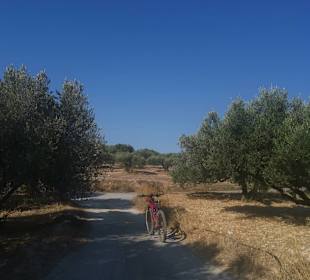 Inselrundfahrt Kreta