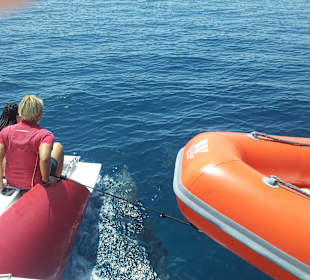 Auch Delphine begleiten uns