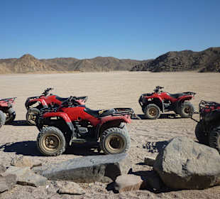 Quad Tour