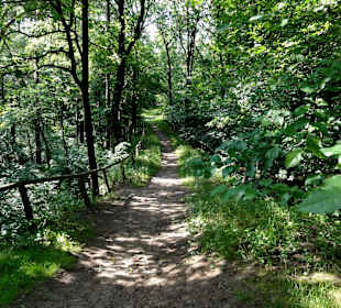 Impressionen aus dem Stadtwald Verden