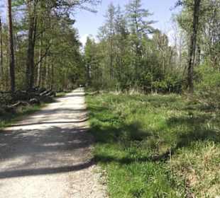 Wanderweg Hochgehwachsen