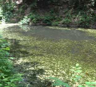 Wanderweg Märchensee Runde