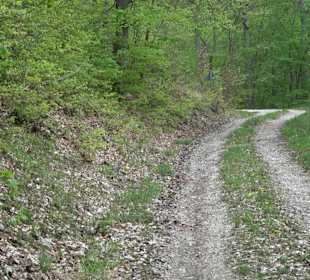 Wandertour durchs Reissenbachtal Oberhausen