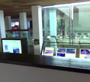 Besucher - Zentrum Mancha Blanca