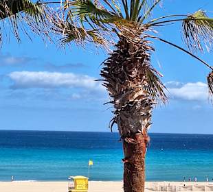 Gartenanlage Iberostar Selection Fuerteventura Palace