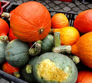 Bauernmarkt im Kreismuseum