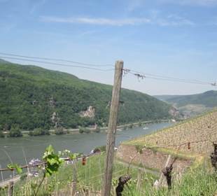 Impressionen Kräuterweg in Assmannshausen