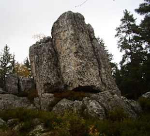 Naturschutzgebiet Großer Pfahl