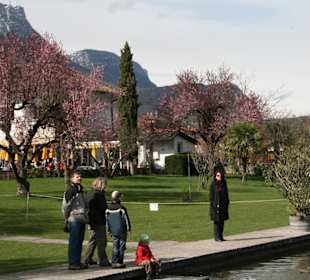 Blick ans Ufer des Kalterer Sees