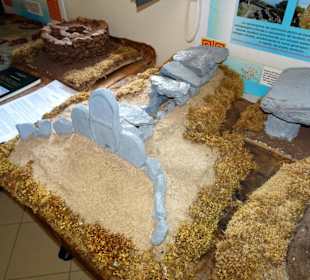 Rundgang durch das Museo della Foca Monaca