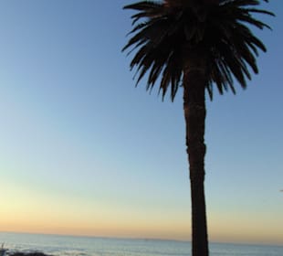 Hop On Hop Off Stadtrundfahrt in Kapstadt