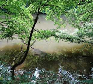 Am Ufer der Regnitz