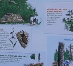 Wandertour Eppenzill