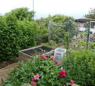 Schrebergärten / Kleingartenanlage auf Helgoland
