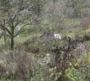 Umweltbildungszentrum Listhof