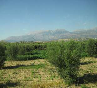 Messara Ebene