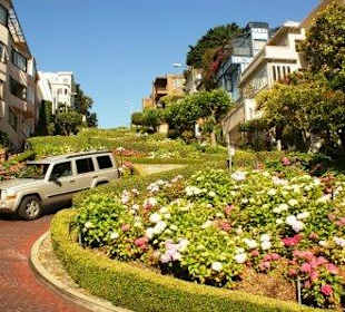 Begrünte Lombard Street